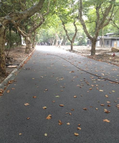 浙江大學(xué)西溪校區(qū).jpg 浙江大學(xué)西溪校區(qū).jpg