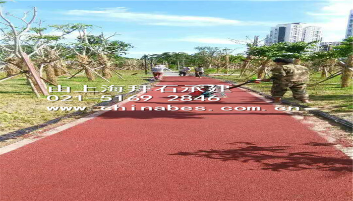 生態(tài)透水路面 生態(tài)透水路面