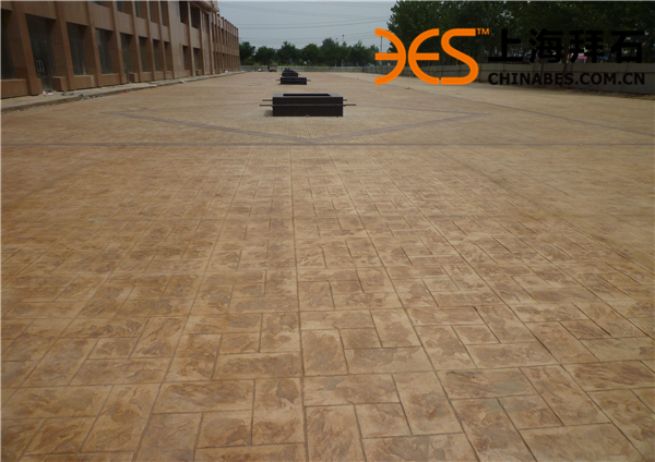 timg (3).jpg timg (3).jpg