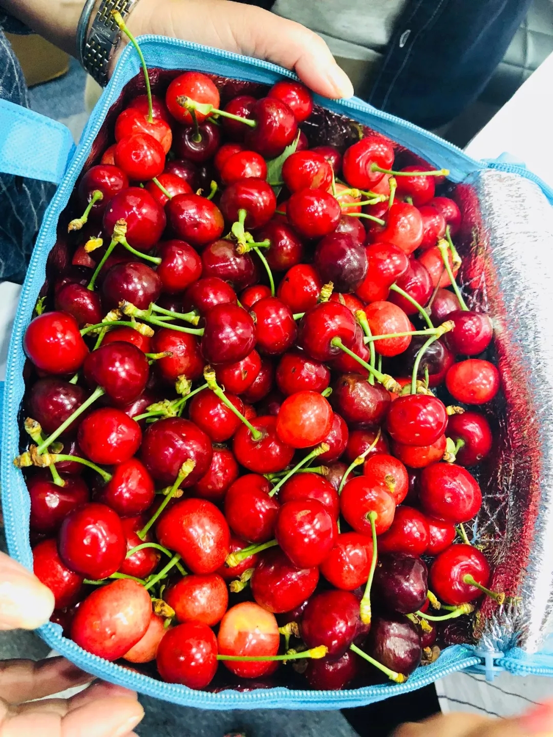 640.webp (10).jpg 640.webp (10).jpg