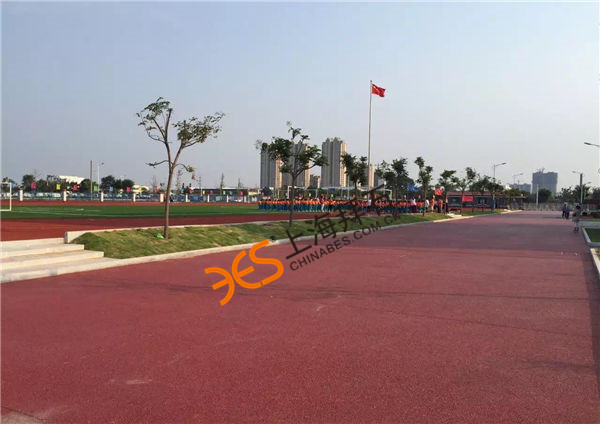 彩色藝術(shù)透水路面.jpg 彩色藝術(shù)透水路面.jpg