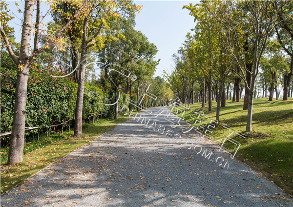 露骨料透水混凝土 露骨料透水混凝土