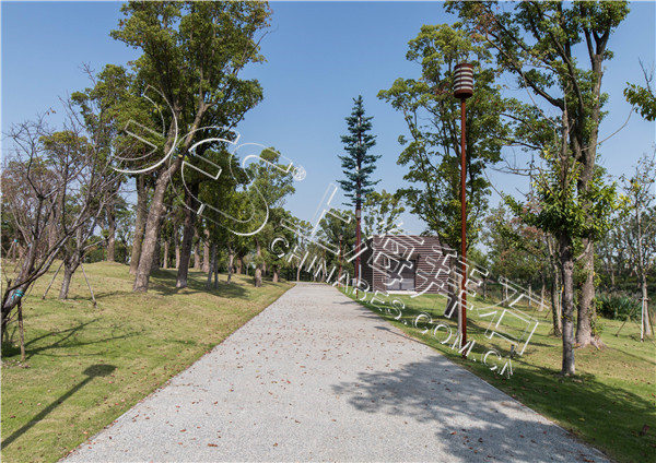 露骨料透水混凝土 露骨料透水混凝土