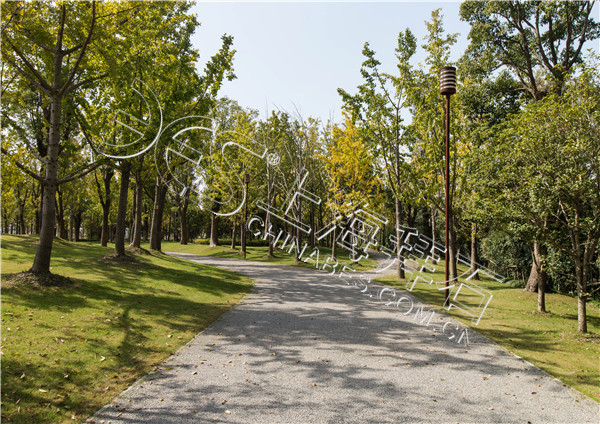 露骨料透水混凝土 露骨料透水混凝土
