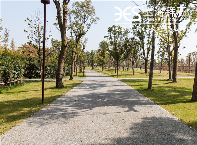 露骨料透水地坪 露骨料透水地坪
