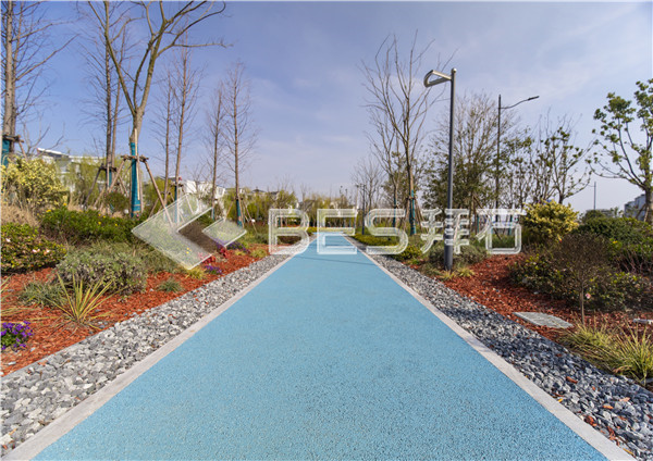 _MG_3290.jpg _MG_3290.jpg