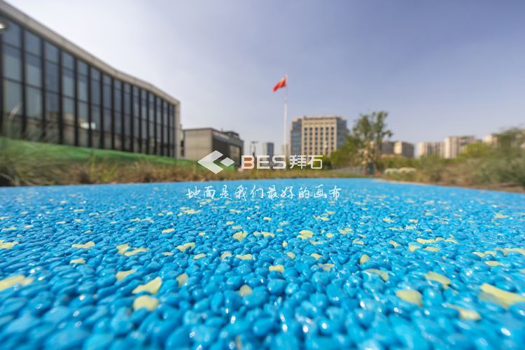 _MG_1290.jpg _MG_1290.jpg