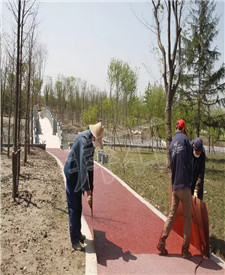 太倉(cāng)橫瀝河公園路面工程 太倉(cāng)橫瀝河公園路面工程