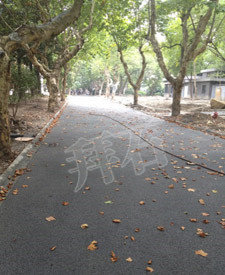 浙江大學(xué)西溪校區(qū)