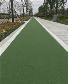 浙江海寧彩色陶粒防滑路面項目