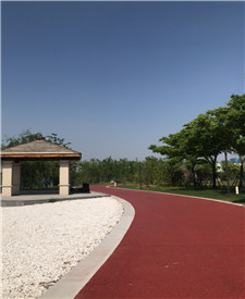 上海巨人網(wǎng)絡(luò)彩色透水砼項目