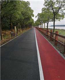 上海浦江郊野公園彩色透水混凝土工程項目