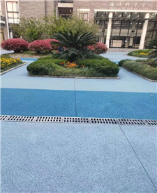 上海海洋大學透水路面項目 上海海洋大學透水路面項目