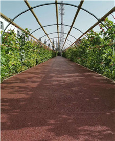 上海長寧政法大學(xué)二期透水地坪項目