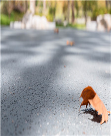 上海寶山臨江公園透水地坪項目