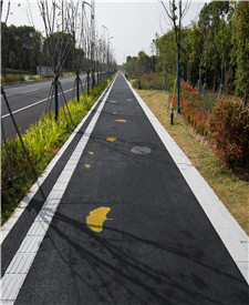 上海金融小鎮(zhèn)透水混凝土項(xiàng)目 上海金融小鎮(zhèn)透水混凝土項(xiàng)目