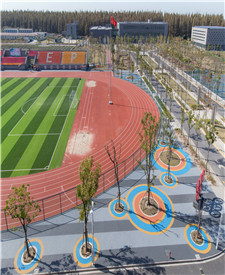 上海臨港電力學院透水混凝土項目 上海臨港電力學院透水混凝土項目