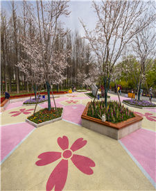 上海顧村公園露骨料透水混凝土項(xiàng)目