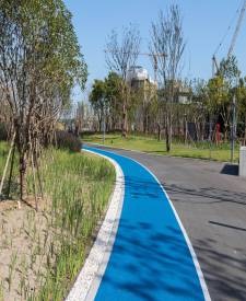 上海東方體育中心瀝青改色工程