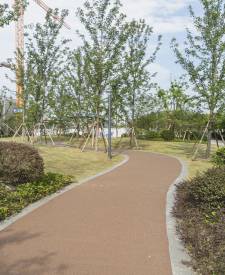 上海市奉賢區(qū)解放東路兩側(cè)綠地建設(shè)項目